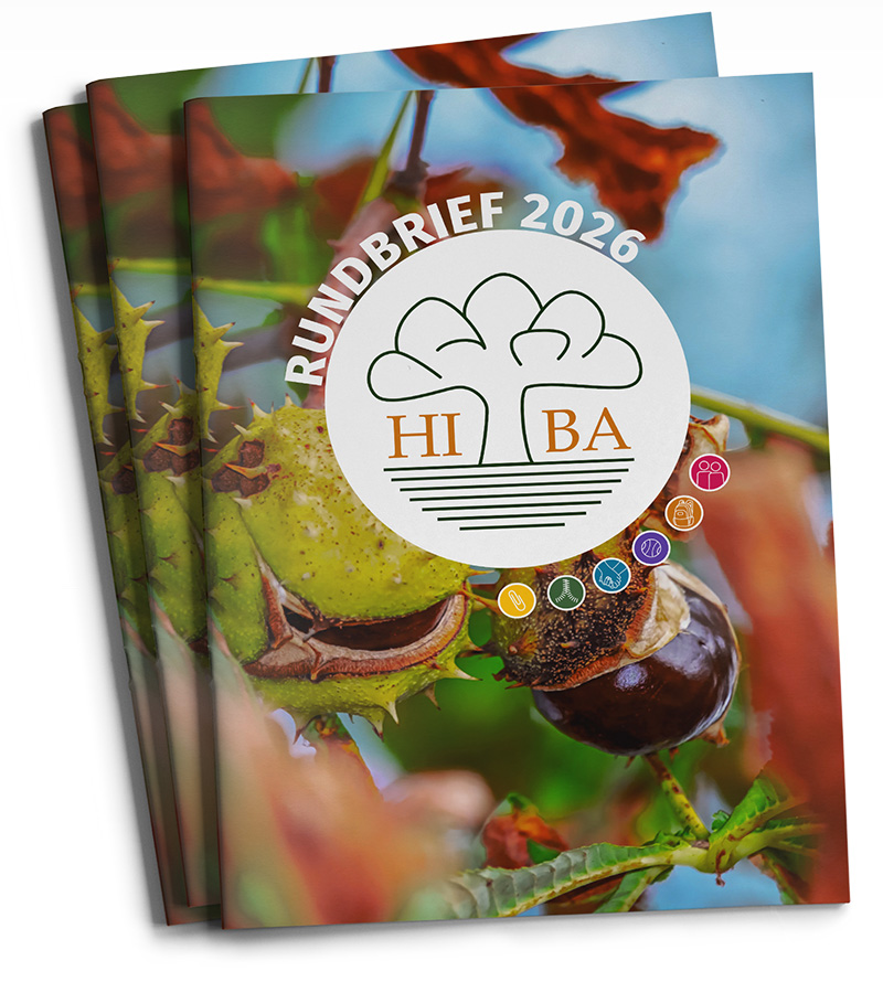 Grafik HIBA-Rundbrief 2026